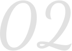 Curriculum Icon